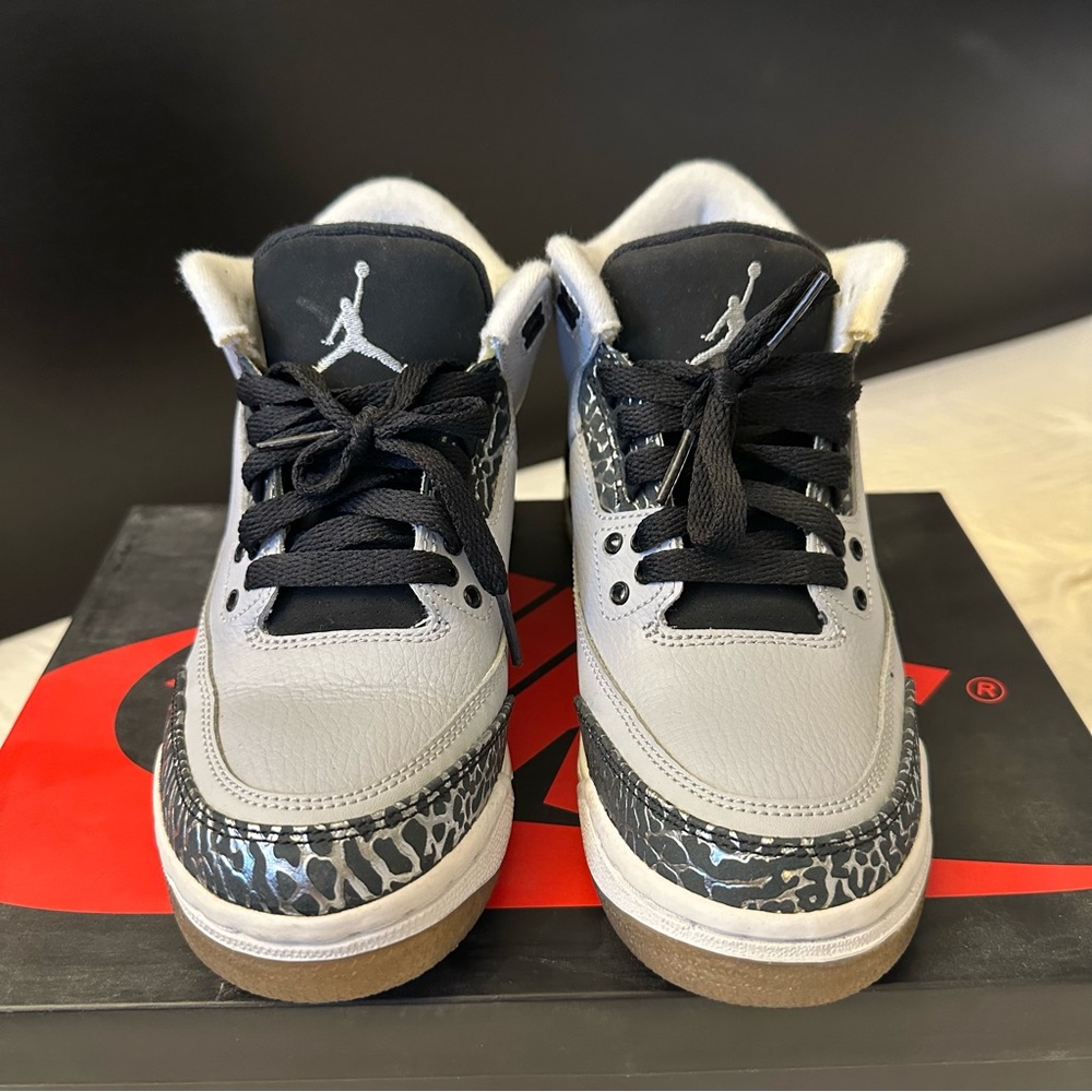 Jordan 3 Wolf Grey GS